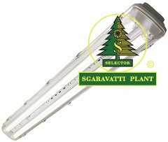 kes-led-sgaravatti-plant