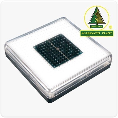 solarbrick_2_sgaravattiplant