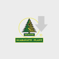 Sgaravatti Plant