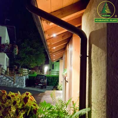 Sgaravatti Plant